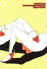(SUPER24) [NEO-de (Natsuzaka)] BREAK OR CONTINUE (Gundam SEED DESTINY)