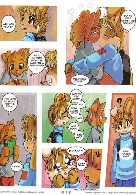 SoftPaw Magazine 01