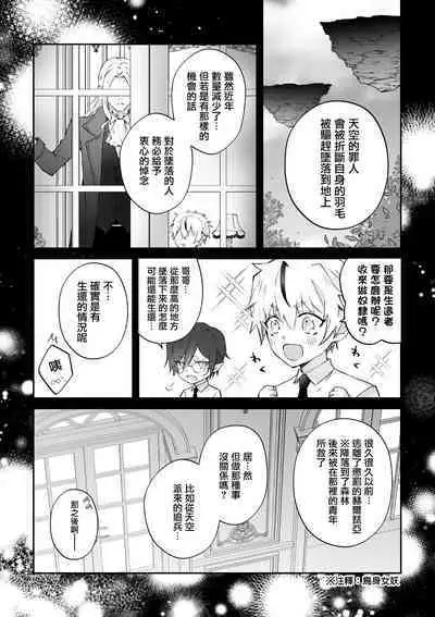 Mayoikonda hinadori wa kuro Erufu no kyodai ni dekiai sa reru | 误入的雏鸟被黑妖精兄弟溺爱 2