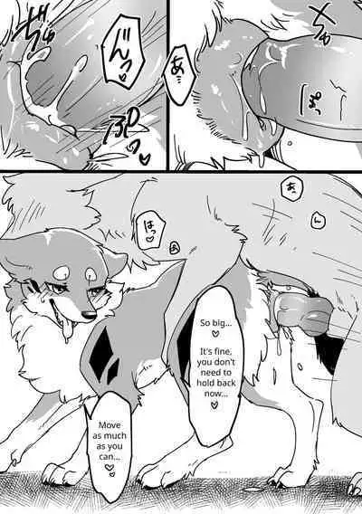 Ohanami Anaba Spot | Secret Flower Viewing Spot