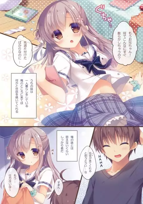 Onii-chan Osewa wa Watashi ni Makasete ne