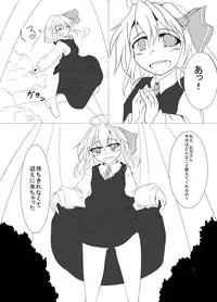 (Sounanoka 2) [Anshin Sozai. (Nicchuu)] Rumia To Necho-nehco Suru Hon 2 Junbigou (Touhou Project)