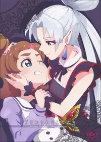 (Rainbow Flavor 13) [Yukirinrin! (Oyu)] Princess no Shitsukekata (Go! Princess PreCure) [Chinese] [沒有漢化]