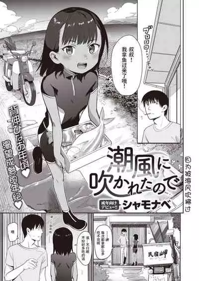 Shiokaze ni Fuka Retanode | 因为被海风吹拂过