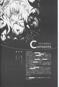 (C66) [Douganebuibui (Aburidashi Zakuro)] Mugen Jikan no Koi (Touhou Project)