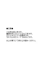 [塩豆大福] どろぼうはおしおきのはじまり (東方)