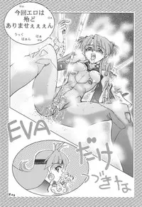 (C65) [Chuuka Mantou (Yagami Dai)] Mantou .24 (Neon Genesis Evangelion)