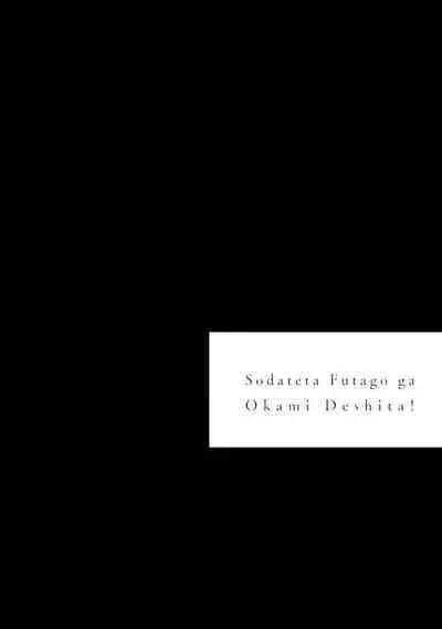 Sodateta Futago ga Ookami deshita! | 养育的双子兄弟竟然是狼! Ch. 1