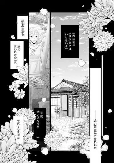 [Mii Michiru] Kannou Shousetsu-ka wa Ai o Gaman Dekinai Tatami no Ue de Nando mo, Nando mo (Bunsatsu-ban) 1
