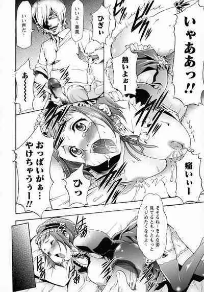 Saimin-jutsu de me Dorei o Teniireru Houhou Kanzenhan